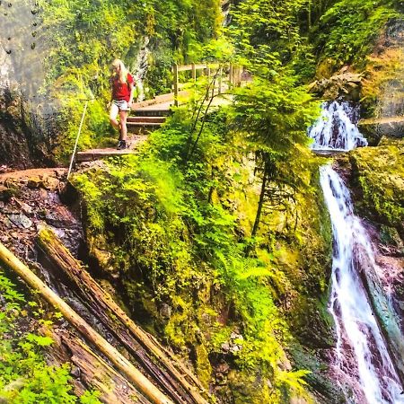 Ferienwohnung Schwarzwald Todtmoos Εξωτερικό φωτογραφία