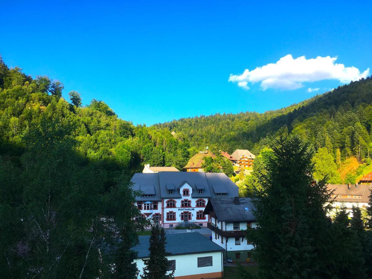 Ferienwohnung Schwarzwald Todtmoos Εξωτερικό φωτογραφία