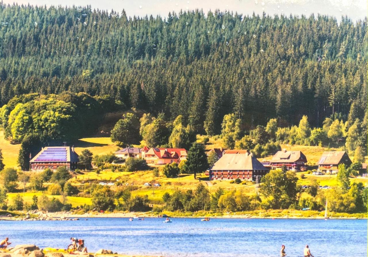 Ferienwohnung Schwarzwald Todtmoos Εξωτερικό φωτογραφία