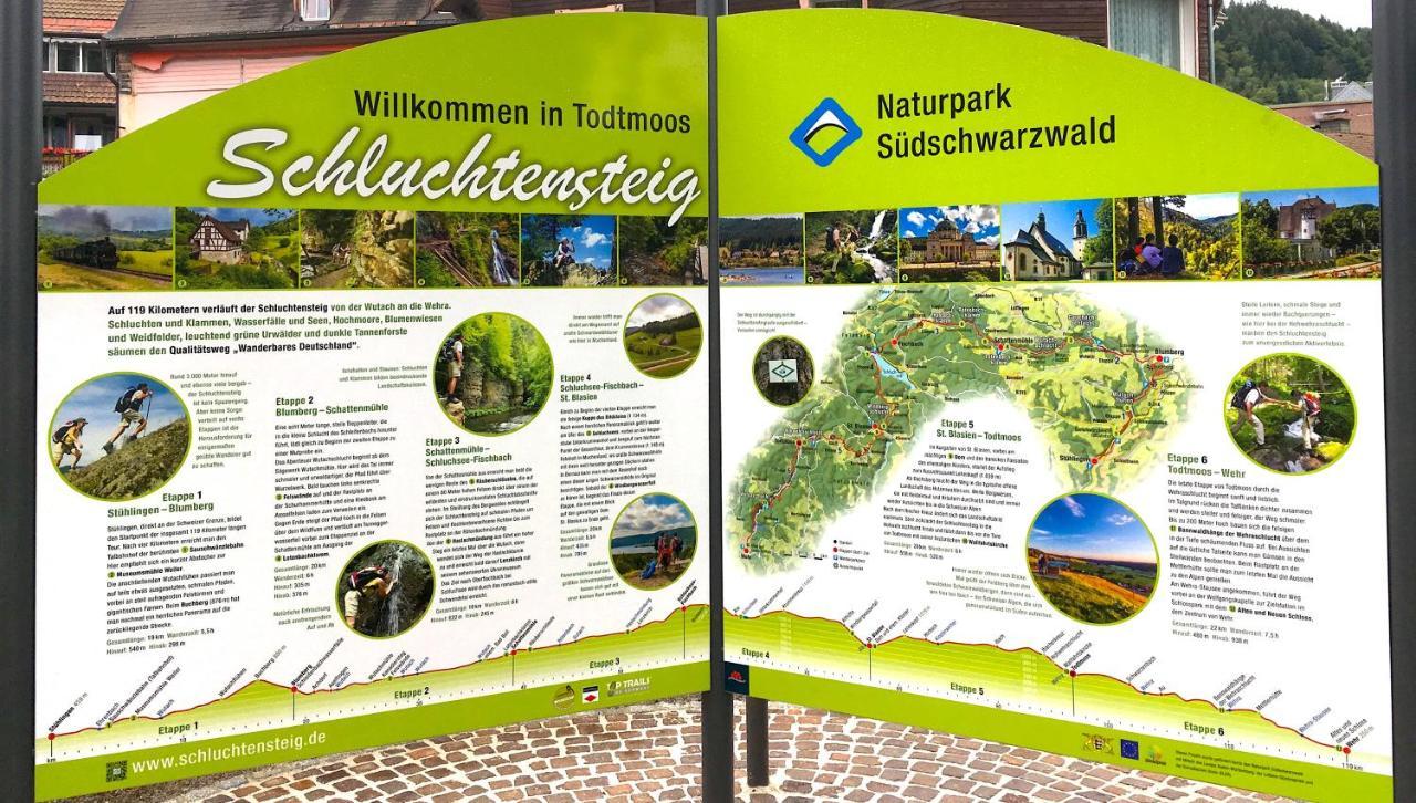 Ferienwohnung Schwarzwald Todtmoos Εξωτερικό φωτογραφία